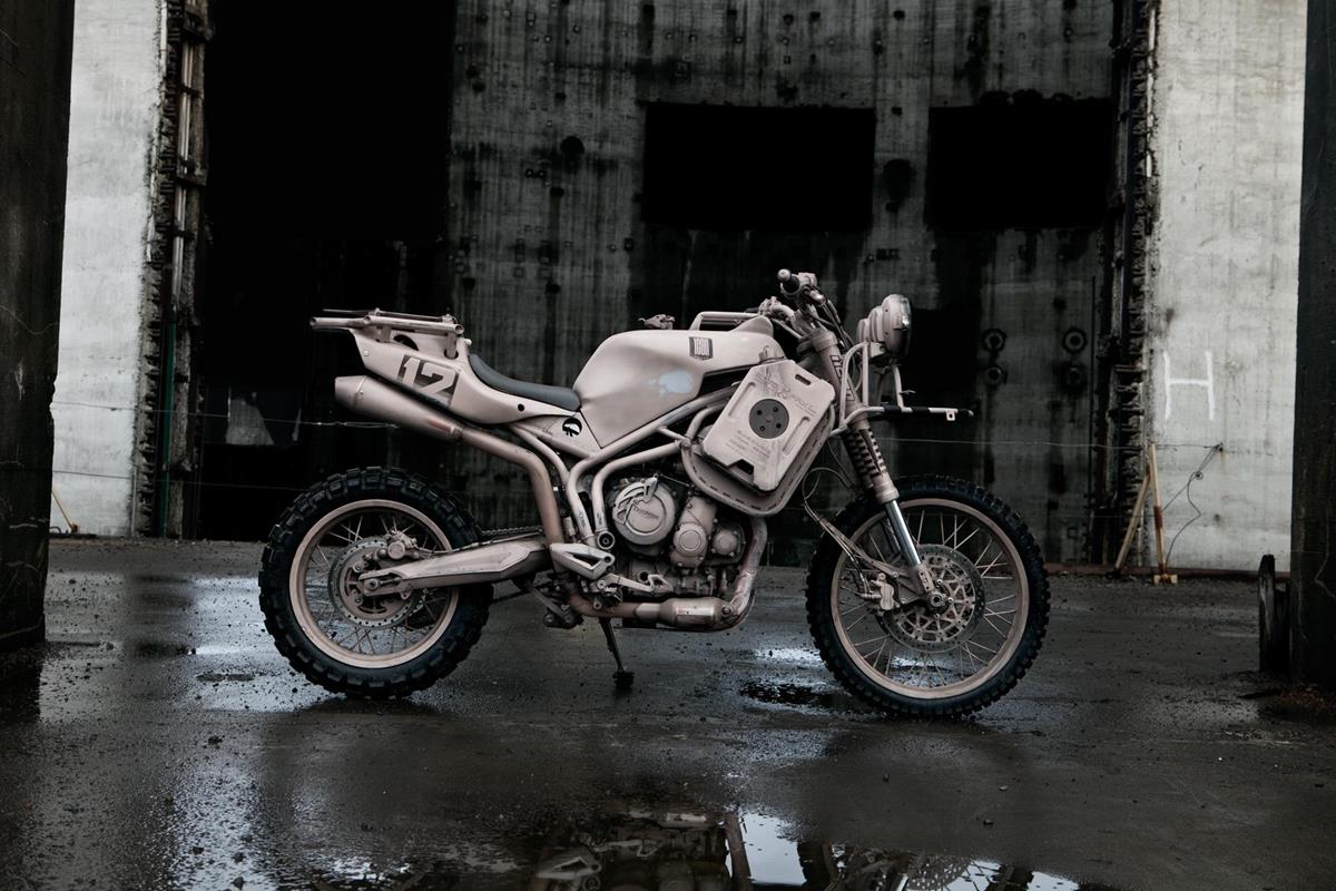 Triumph Tiger 800XC Dromedarii by ICON 1000