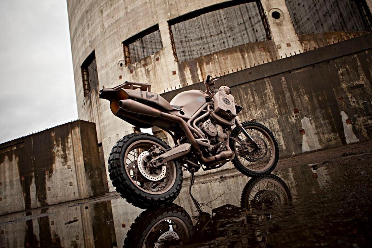 Triumph Tiger 800XC Dromedarii by ICON 1000